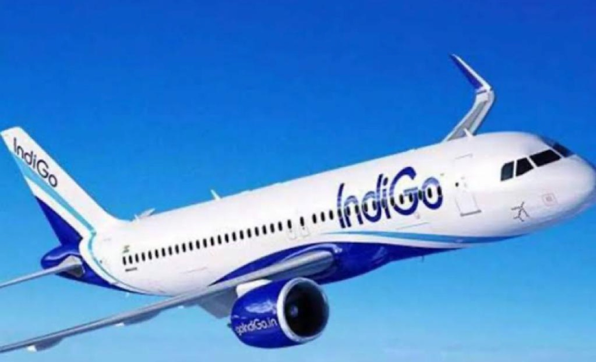 Indigo flier beat up pilot for flight delay