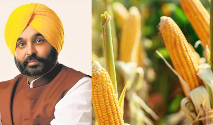 Bhagwant Mann proposes MSP hike to centre for Kharif 2024